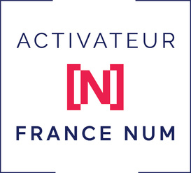 Logo FranceNum